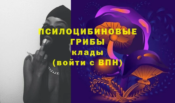 твердый Новозыбков