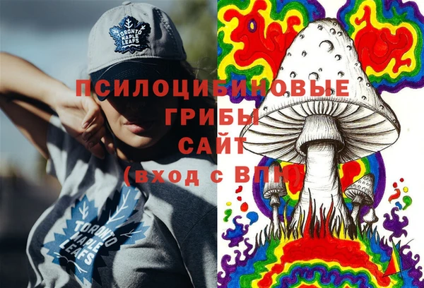 твердый Новозыбков