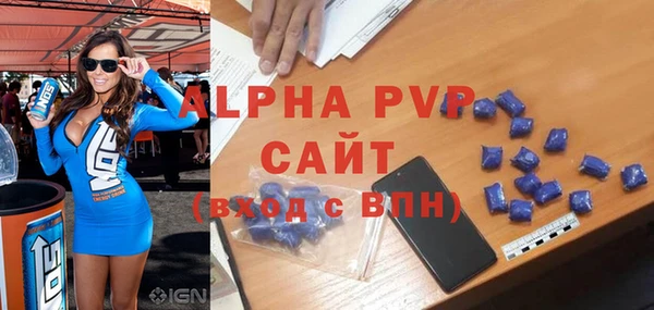 твердый Новозыбков