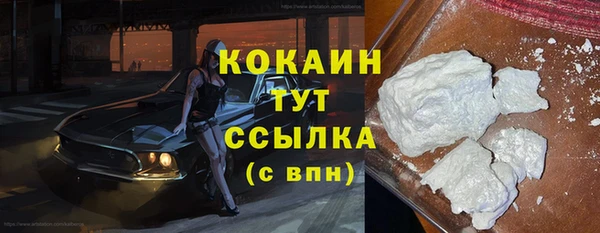 твердый Новозыбков